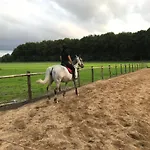 't Heidepaleis 4* Garderen