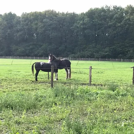 't Heidepaleis * Garderen