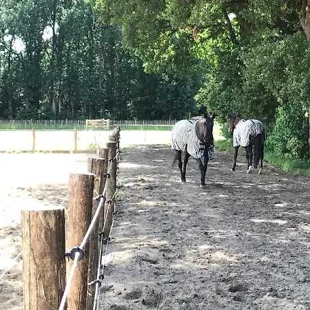 't Heidepaleis Bed and breakfast 4*