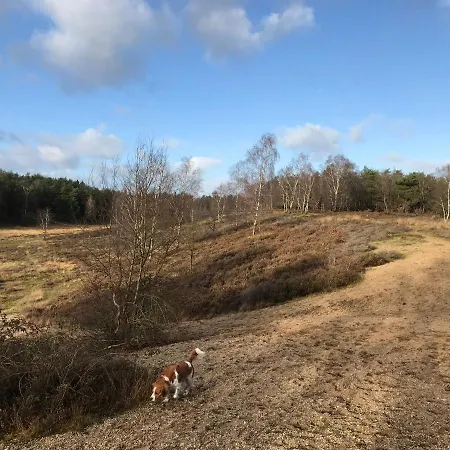't Heidepaleis Garderen