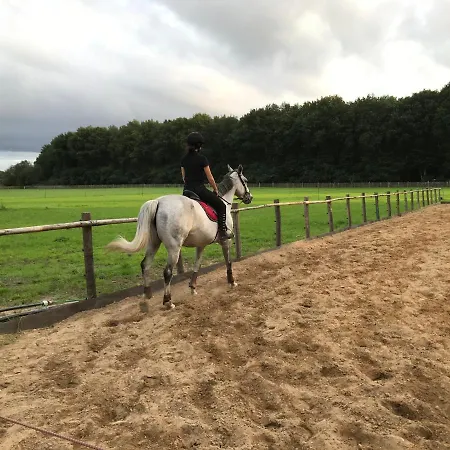 't Heidepaleis * Garderen