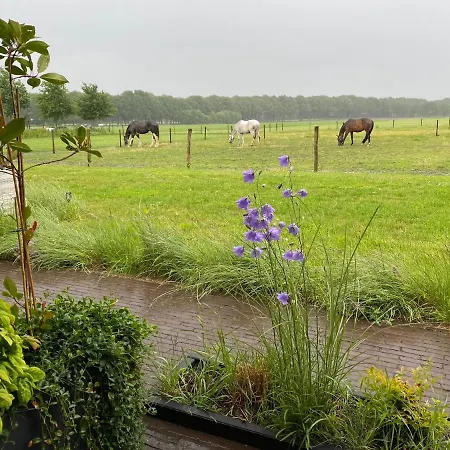 't Heidepaleis 가드렌