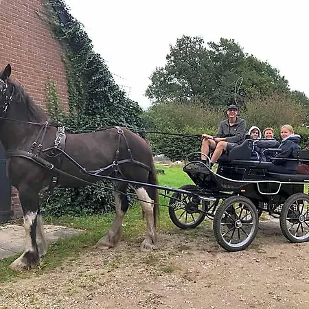 't Heidepaleis 4* Garderen