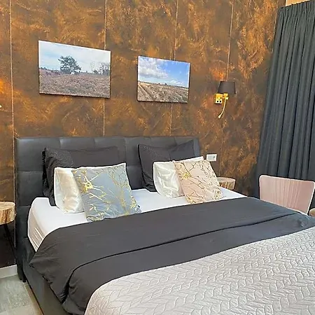 't Heidepaleis 4* Garderen