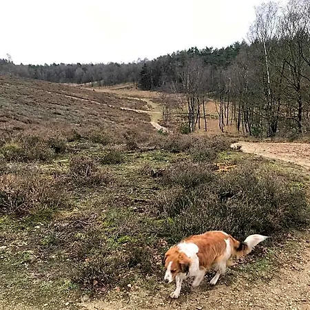 't Heidepaleis 4* Garderen