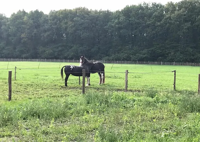 't Heidepaleis 4* Garderen