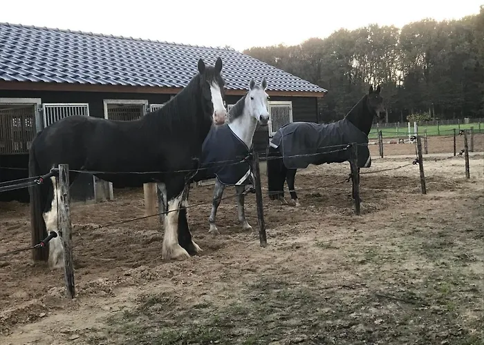 't Heidepaleis Couette-café