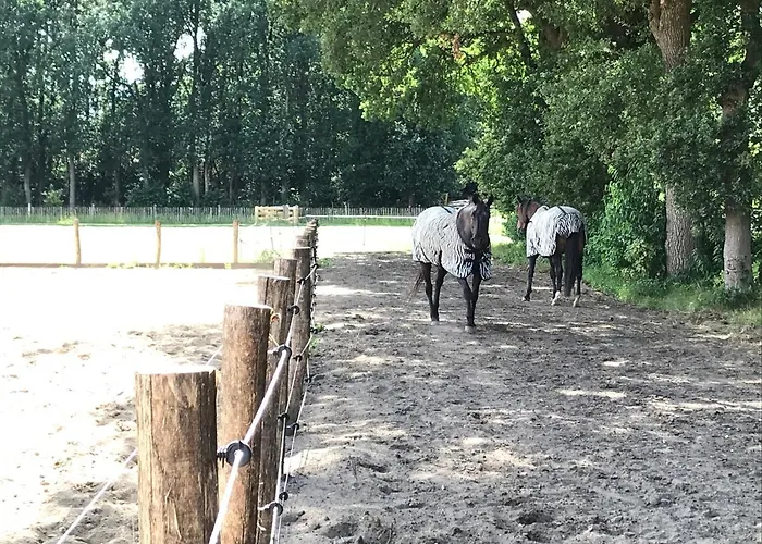 't Heidepaleis Bed and breakfast 4*