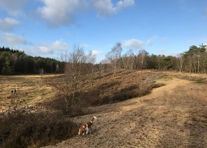 't Heidepaleis Garderen