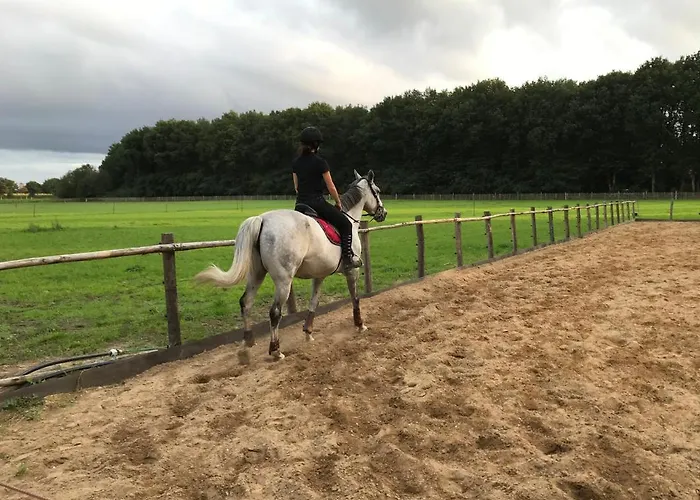 't Heidepaleis 4* Garderen