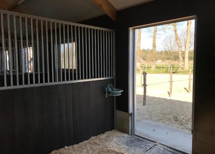 't Heidepaleis 4* Garderen