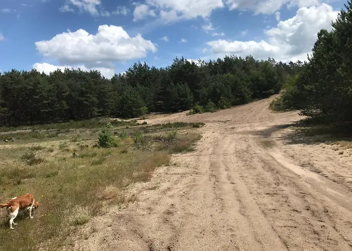 Bed and breakfast 't Heidepaleis