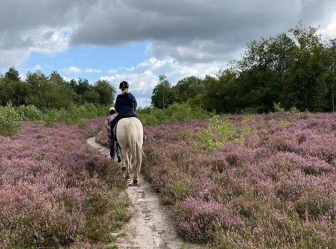 فندق مبيت وإفطار 't Heidepaleis خارديرن